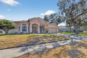 3732 COLD CREEK DRIVE, VALRICO, FL 33596 - MLS#MFRTB8469000