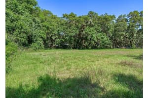 3352 SANDY DRIVE, ZEPHYRHILLS, FL 33541 - MLS#MFRTB8469013