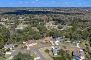 3926 MEADOWLARK COURT, LAND O LAKES, FL 34639 - MLS#MFRTB8469051