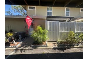 7009 Salinas Ct, TAMPA