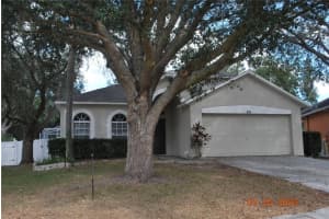 909 GRAND CANYON DRIVE, VALRICO, FL 33594 - MLS#MFRTB8469073