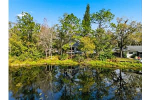 18324 JORENE ROAD, ODESSA, FL 33556 - MLS#MFRTB8469078