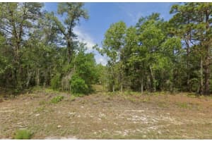 6502 MATHESON DRIVE, CITRUS SPRINGS, FL 34434 - MLS#MFRTB8469093