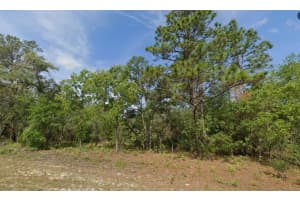 6502 MATHESON DRIVE, CITRUS SPRINGS, FL 34434 - MLS#MFRTB8469093