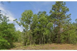 6502 MATHESON DRIVE, CITRUS SPRINGS, FL 34434 - MLS#MFRTB8469093