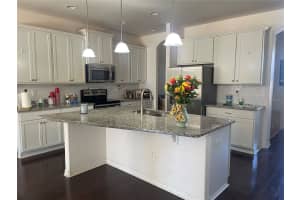 12433 BALLENTRAE FOREST DRIVE, RIVERVIEW, FL 33579 - MLS#MFRTB8469104