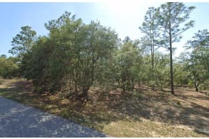 6004 DARLINGTON DRIVE, CITRUS SPRINGS, FL 34434 - MLS#MFRTB8469107