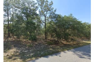 6004 DARLINGTON DRIVE, CITRUS SPRINGS, FL 34434 - MLS#MFRTB8469107