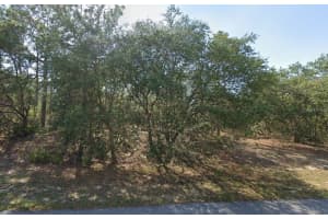 6004 DARLINGTON DRIVE, CITRUS SPRINGS, FL 34434 - MLS#MFRTB8469107