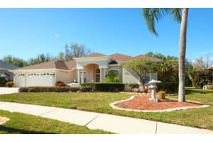 1211 Pristine Pl, LUTZ