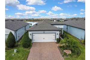 5503 BLUE CRUSH BEND, LAND O LAKES, FL 34638 - MLS#MFRTB8469130