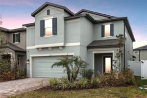 31766 Asbury Ave, WESLEY CHAPEL