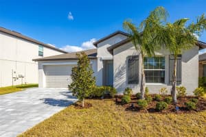 15415 MILLER CREEK DRIVE, SUN CITY CENTER, FL 33573 - MLS#MFRTB8469203
