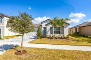 15415 MILLER CREEK DRIVE, SUN CITY CENTER, FL 33573 - MLS#MFRTB8469203