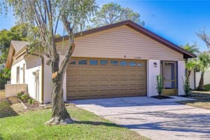 16408 Norwood Dr, TAMPA