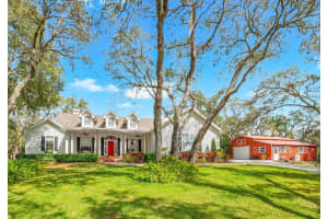 653 OLD EAST LAKE ROAD, TARPON SPRINGS, FL 34688 - MLS#MFRTB8469264