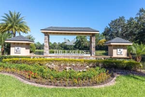 12511 ROYAL DUBLIN AVENUE, ODESSA, FL 33556 - MLS#MFRTB8469270