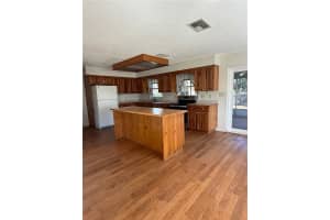 13908 PARADISE LANE, DADE CITY, FL 33525 - MLS#MFRTB8469272