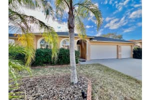 9817 LA VONDA STREET, RIVERVIEW, FL 33569 - MLS#MFRTB8469278