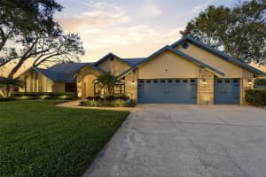 3612 SUGAR LOAF LANE, VALRICO, FL 33596 - MLS#MFRTB8469294