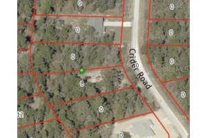 16221 CRIDER ROAD, BROOKSVILLE, FL 34614 - MLS#MFRTB8469321