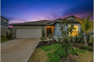 32325 WISHING HAVEN DRIVE, SAN ANTONIO, FL 33576 - MLS#MFRTB8469339