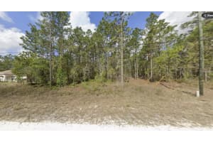 15493 PENN STATE ROAD, WEEKI WACHEE, FL 34614 - MLS#MFRTB8469357
