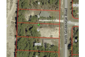 15493 PENN STATE ROAD, WEEKI WACHEE, FL 34614 - MLS#MFRTB8469357
