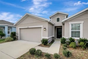 10209 AGAVE COURT, LAND O LAKES, FL 34638 - MLS#MFRTB8469366