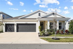 5989 Golden Nettle Dr, APOLLO BEACH