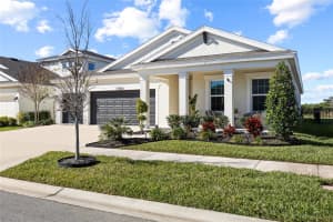 5989 GOLDEN NETTLE DRIVE, APOLLO BEACH, FL 33572 - MLS#MFRTB8469416