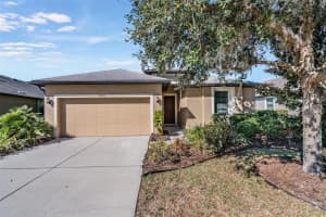 MLS# MFRTB8469431, Land O Lakes, Florida 34638