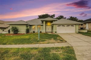 1247 VENETIA DRIVE, SPRING HILL, FL 34608 - MLS#MFRTB8469448