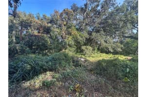 11911 LEROY SHEPPARD ROAD, THONOTOSASSA, FL 33592 Sold 03/25/26