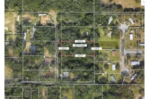 11911 LEROY SHEPPARD ROAD, THONOTOSASSA, FL 33592 Sold 03/25/26