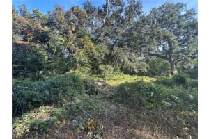 11911 LEROY SHEPPARD ROAD, THONOTOSASSA, FL 33592 Sold 03/25/26