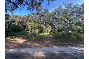 11911 LEROY SHEPPARD ROAD, THONOTOSASSA, FL 33592 Sold 03/25/26