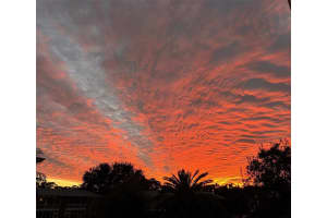 3947 35TH WAY, ST PETERSBURG, FL 33711 - MLS#MFRTB8469456