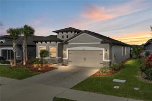 34155 EVERGREEN HILL COURT, WESLEY CHAPEL, FL 33545 - MLS#MFRTB8469501