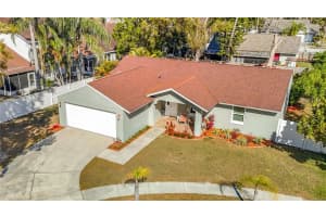 21515 Curlew Ct, LUTZ 21515 Curlew Ct, LUTZ