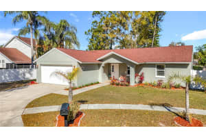 21515 CURLEW COURT, LUTZ, FL 33549 - MLS#MFRTB8469509