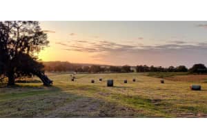 0 PLEASANT GROVE ROAD, INVERNESS, FL 34452 - MLS#MFRTB8469513