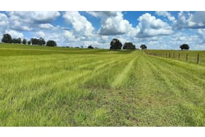 0 PLEASANT GROVE ROAD, INVERNESS, FL 34452 - MLS#MFRTB8469513