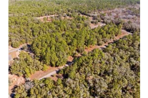 1783 IVYDALE DRIVE, DUNNELLON, FL 34434 Sold 02/20/26