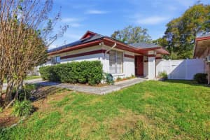 5903 BIRCHWOOD DRIVE, TAMPA, FL 33625 - MLS#MFRTB8469541