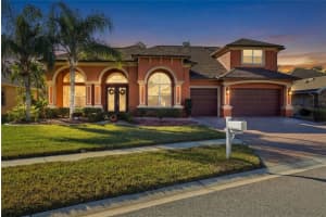 11749 Newberry Grove Loop, RIVERVIEW 11749 Newberry Grove Loop, RIVERVIEW