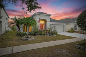 13307 Amber Sky Pl, RIVERVIEW