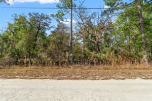 16275 CRANE ROAD, WEEKI WACHEE, FL 34614 Sold 03/13/26
