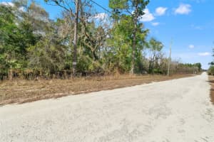 16275 CRANE ROAD, WEEKI WACHEE, FL 34614 Sold 03/13/26