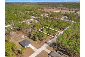 13085 TINAMOU AVENUE, WEEKI WACHEE, FL 34614 Sold 03/13/26